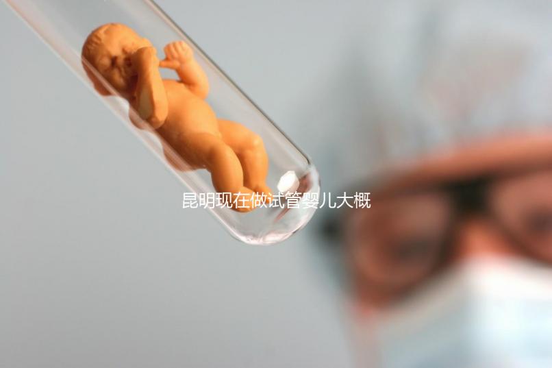 昆明現(xiàn)在做試管嬰兒大概需要多少錢(qián)
