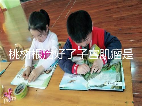 桃樹根治好了子宮肌瘤是謠言？和豬肉一起吃效果真不賴