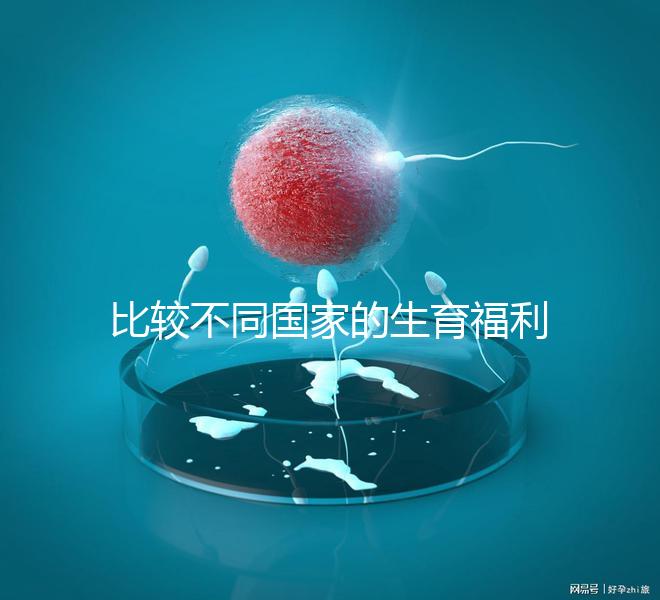 比較不同國家的生育福利｜生孩子還能拿到錢嗎？