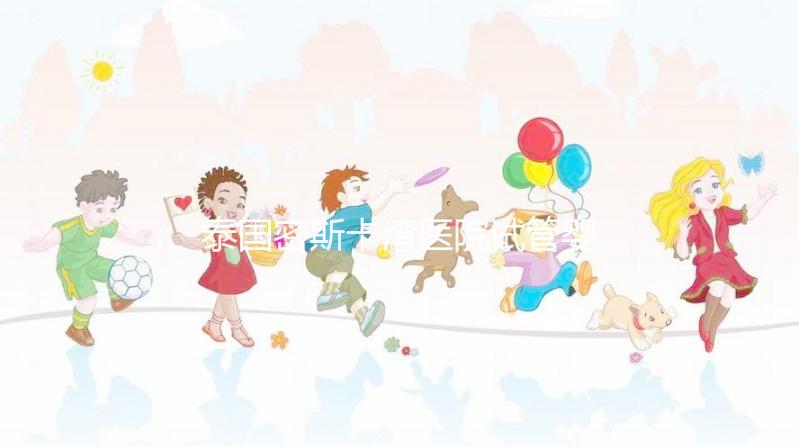 泰國密斯卡灣醫(yī)院試管嬰兒價格指南附項目及費用明細!