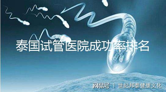 泰國試管醫院成功率排名公布，這些詳細介紹，為您提供選擇參考！