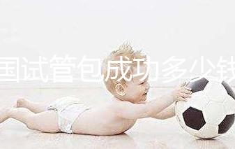 泰國試管包成功多少錢(泰國試管價(jià)格明細(xì)表)