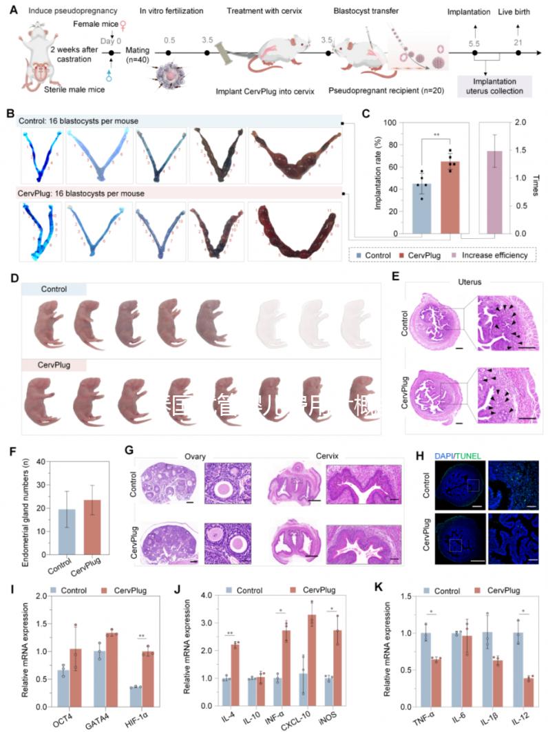 泰國試管嬰兒費(fèi)用大概多少？從業(yè)12年的老友想和你聊聊這些真心話