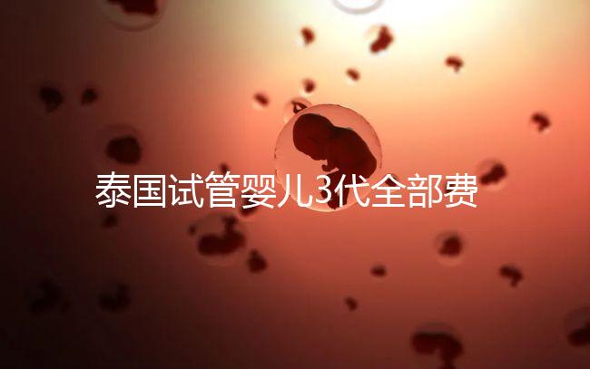 泰國試管嬰兒3代全部費用大概是多少?