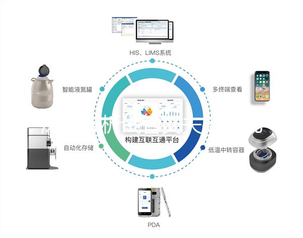 深入分析試管丈夫排精幾天后取卵正常，找到正確的時間更容易懷孕
