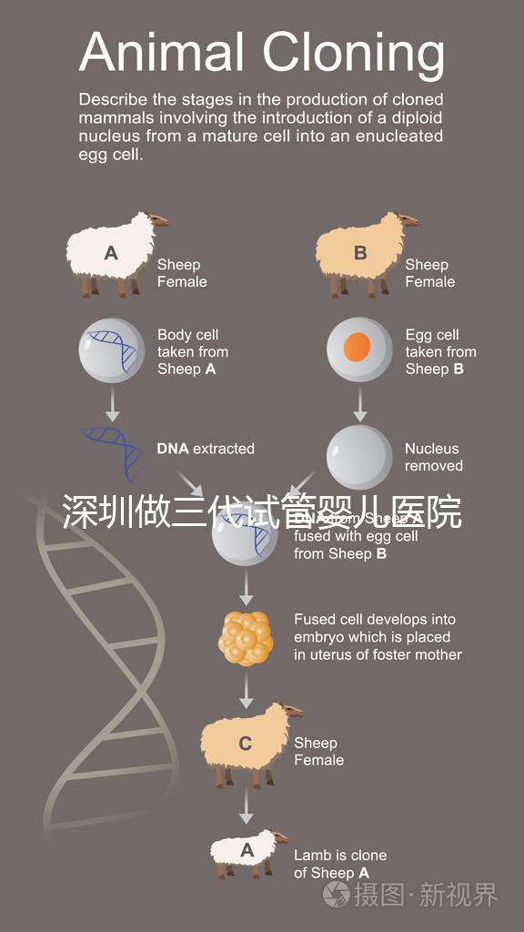 深圳做三代試管嬰兒醫(yī)院前10一覽，排名不分先后