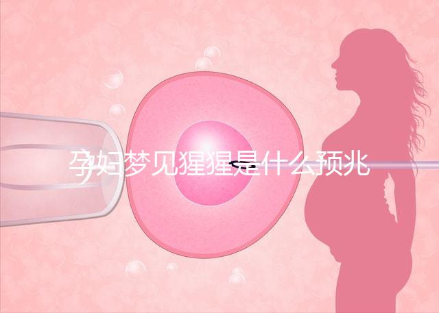 孕婦夢(mèng)見猩猩是什么預(yù)兆？帶你了解相關(guān)胎夢(mèng)解讀