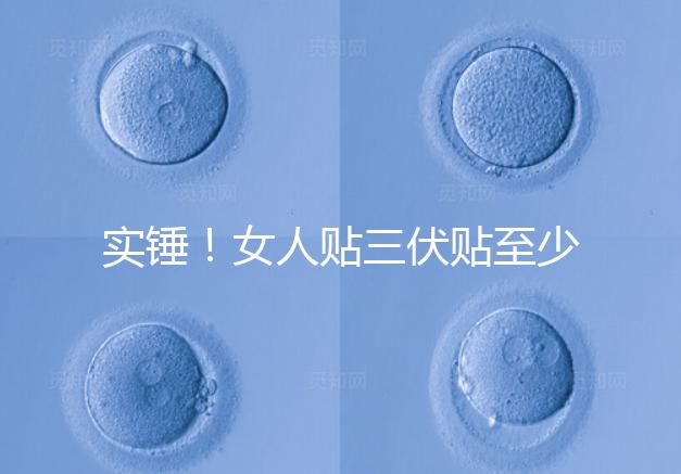 實錘！女人貼三伏貼至少有這6點好處，提高免疫力是其一