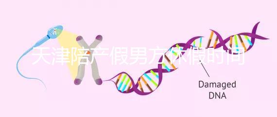 天津陪產(chǎn)假男方休假時間2024已揭曉，是否含周末統(tǒng)一回復