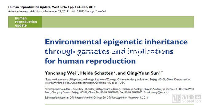 如何收取武漢同濟(jì)醫(yī)院的養(yǎng)囊費(fèi)？查看最新試管費(fèi)用明細(xì)估算？