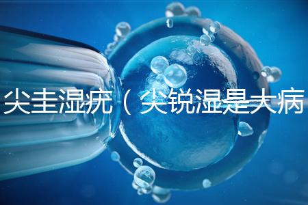 尖圭濕疣（尖銳濕是大病還是小病）