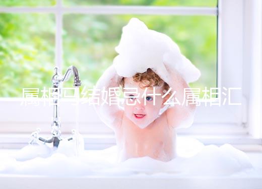 屬相馬結(jié)婚忌什么屬相匯總，2023和鼠、牛真相克請(qǐng)三思