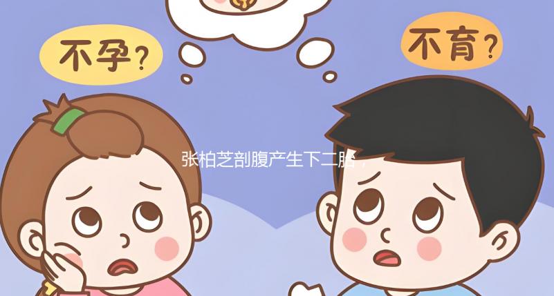 張柏芝剖腹產(chǎn)生下二胎，跟謝霆鋒一個模子刻出來的