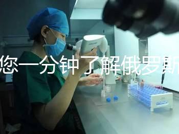 帶您一分鐘了解俄羅斯試管中心的費(fèi)用明細(xì)，快速收集！