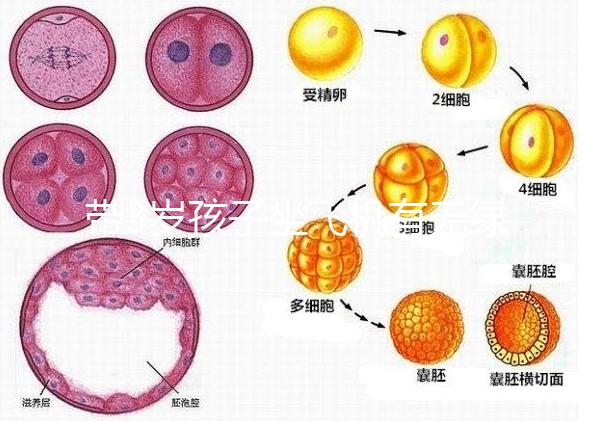 帶3歲孩子坐飛機(jī)有無(wú)綠色通道答案揭曉，提前申請(qǐng)免排隊(duì)