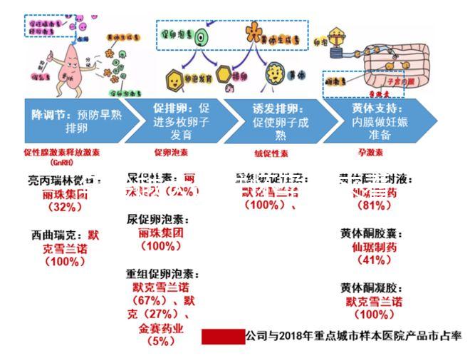 年齡越大越難懷孕！來看看44歲試管嬰兒的成功率有多少？