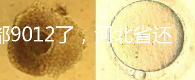 都9012了，河北省還沒三代試管嬰兒醫院，看看姐妹怎么說