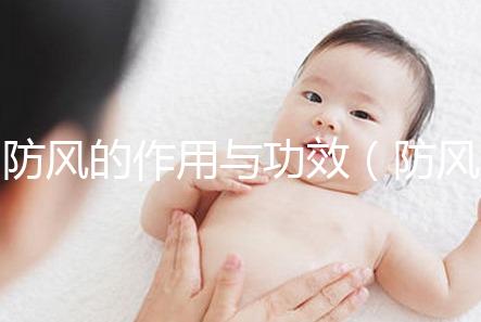 防風的作用與功效（防風的作用與功效與作用）