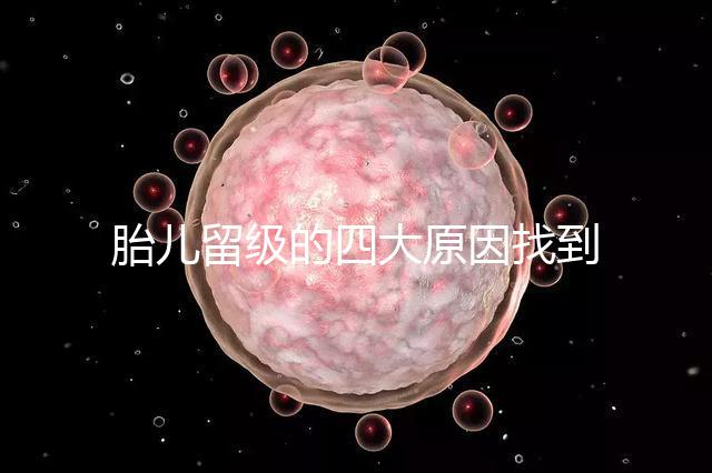 胎兒留級的四大原因找到了！多半和媽媽太懶不運動有關系