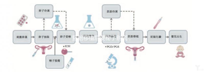 胚胎移植后便秘了別慌，這5種方法你應(yīng)該試試
