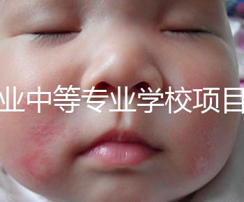 職業中等專業學校項目(中等職業學校專業建設規劃實施方案)