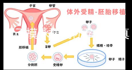 自己摸脈搏測懷孕方法真不難，想準確率高關鍵是找對手法