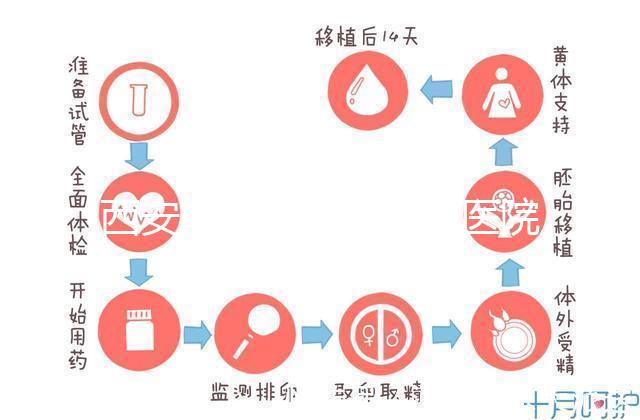 西安能做試管嬰兒的醫院哪家成功率最高？本地Top 5推薦