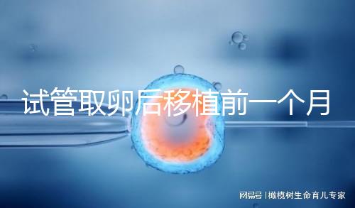 試管取卵后移植前一個月牙痛，可以去拔牙嗎？