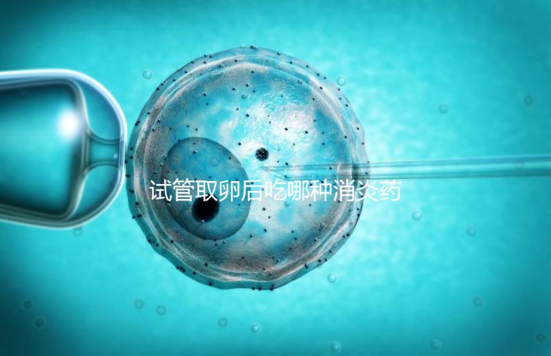 試管取卵后吃哪種消炎藥？婦科炎癥常用這6種藥物