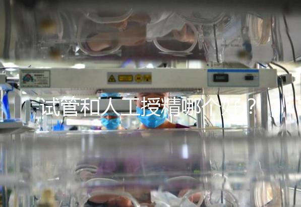 試管和人工授精哪個好？適配人群各不同