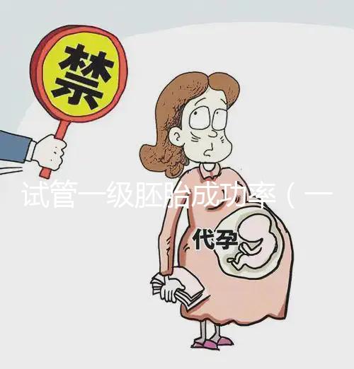 試管一級胚胎成功率(一代試管一次能成功嗎)