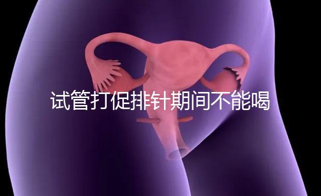 試管打促排針期間不能喝酵素減肥？把控好時間就行