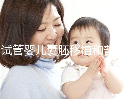 試管嬰兒囊胚移植和普通胚胎移植,有何區別?