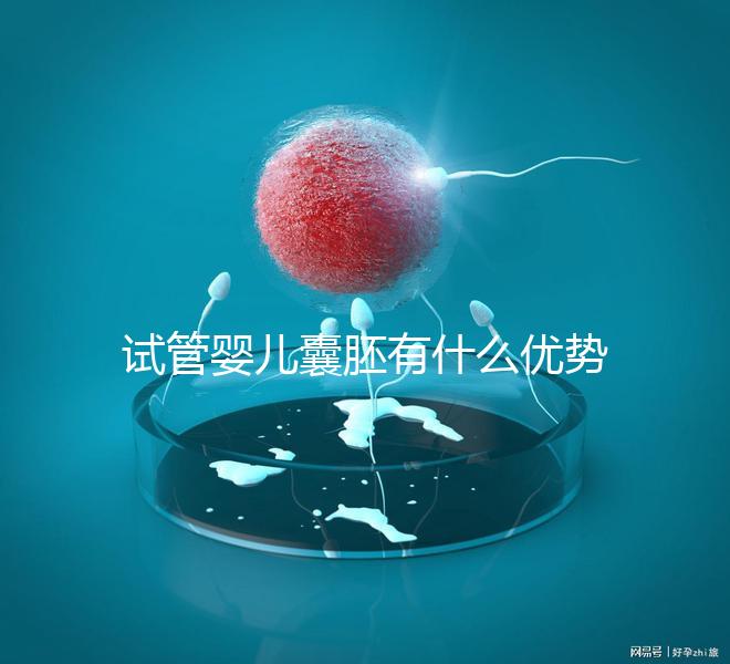 試管嬰兒囊胚有什么優(yōu)勢(shì)嗎？
