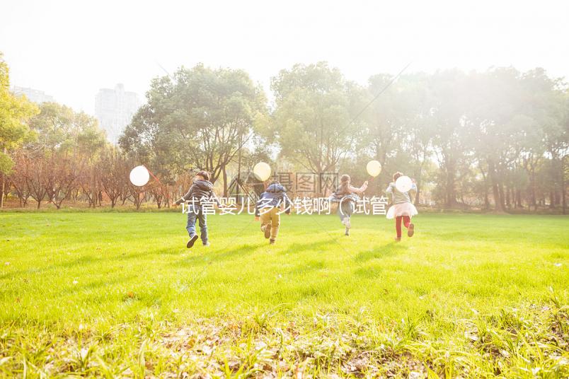 試管嬰兒多少錢?。ㄔ嚬軏雰憾嗌馘X啊一般來說）