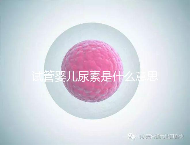 試管嬰兒尿素是什么意思(試管嬰兒尿素是什么意思啊)