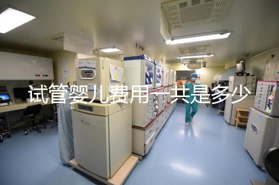 試管嬰兒費(fèi)用一共是多少（試管嬰兒費(fèi)用一共是多少錢）