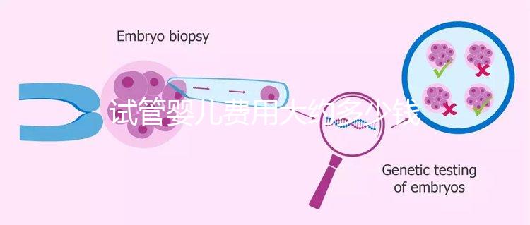 試管嬰兒費(fèi)用大約多少錢?