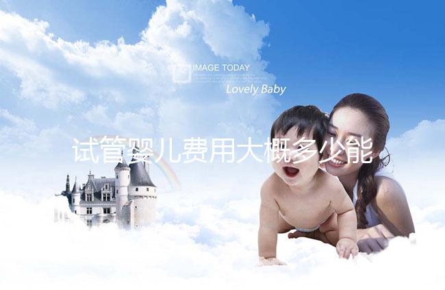 試管嬰兒費用大概多少能報銷（試管嬰兒費用大概多少能報銷醫保）