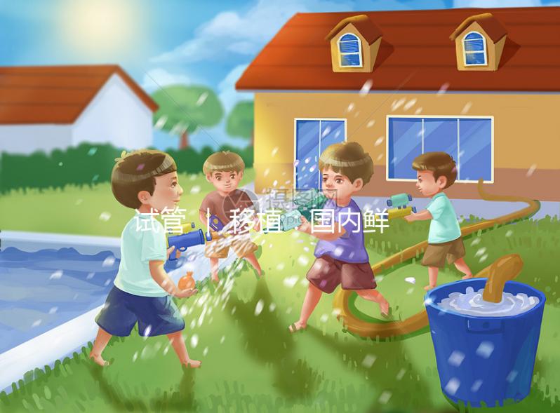 試管 ｜ 移植：國(guó)內(nèi)鮮胚和國(guó)外囊胚的區(qū)別