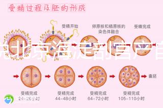 誰(shuí)說(shuō)北京海淀剖宮產(chǎn)自付費(fèi)用高,了解2024年生育保險(xiǎn)報(bào)銷比例?