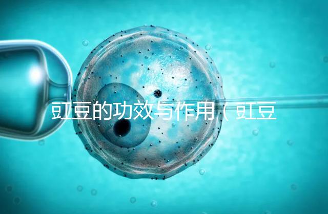 豇豆的功效與作用(豇豆是寒性還是熱性)