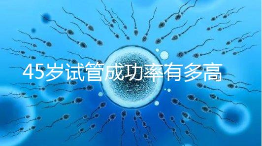 45歲試管成功率有多高?4招讓妊娠幾率直線上升
