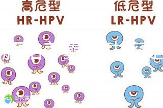 6個胚胎養囊成功率是多大答案在這，能配成3個機會就大
