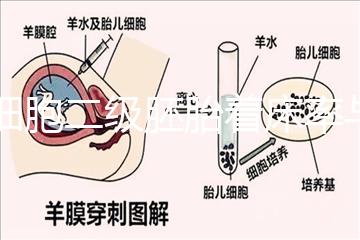6細胞二級胚胎著床率與養(yǎng)囊成功率解讀，拿不準移植與否戳