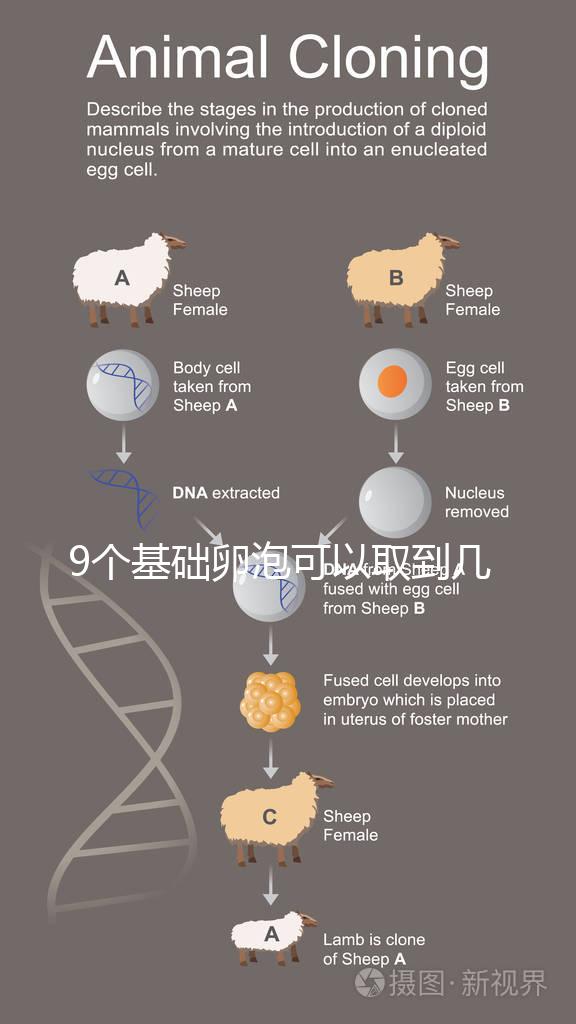 9個基礎卵泡可以取到幾個卵戳，促排后會不會增加很重要