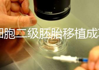 9細(xì)胞二級胚胎移植成功案例不少，過來人告訴你著床率較高
