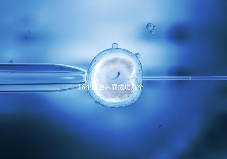 16個胚胎養(yǎng)囊成功幾個說不準(zhǔn)，11個概率高不高真不一定