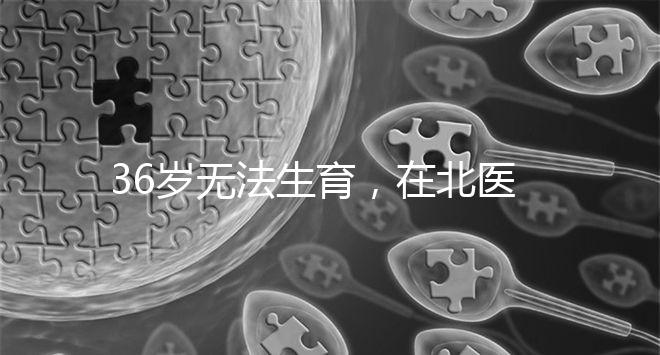 36歲無法生育，在北醫(yī)三院做人工授精成功率有多少？