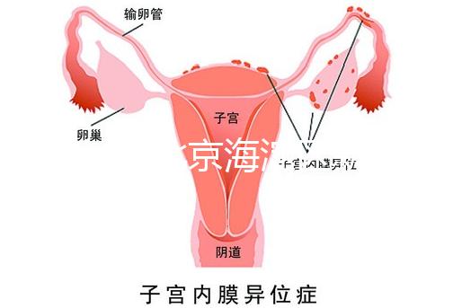 2024年北京海淀區(qū)新生兒醫(yī)療保險處理策略，照片要求不要出錯